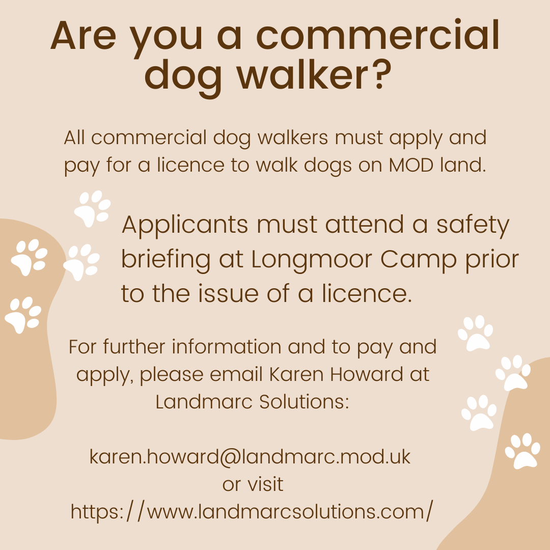 Commercial Dog Walker