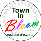 Town in Bloom winners