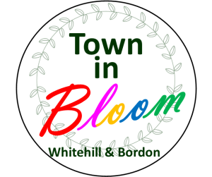 Town in bloom logo